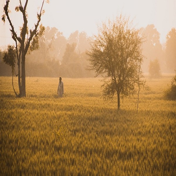 Cities In Punjab Majha, Doaba, Malwa